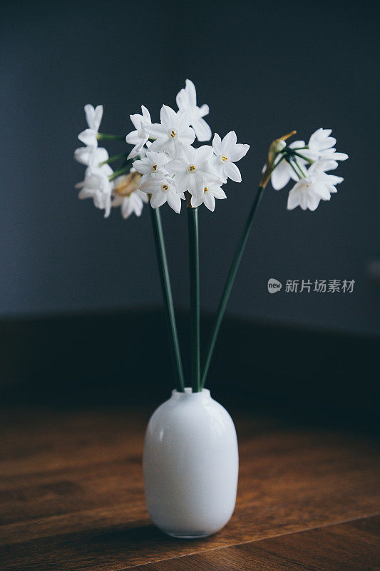 白色水仙，冬季室内开花