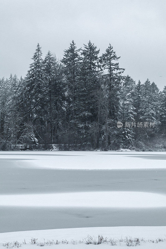 海狸湖地区公园的雪景