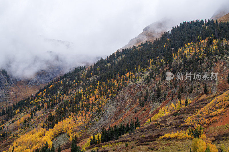 秋天的红山山口风景