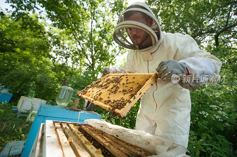 养蜂人抱着一个装满蜜蜂的蜂巢