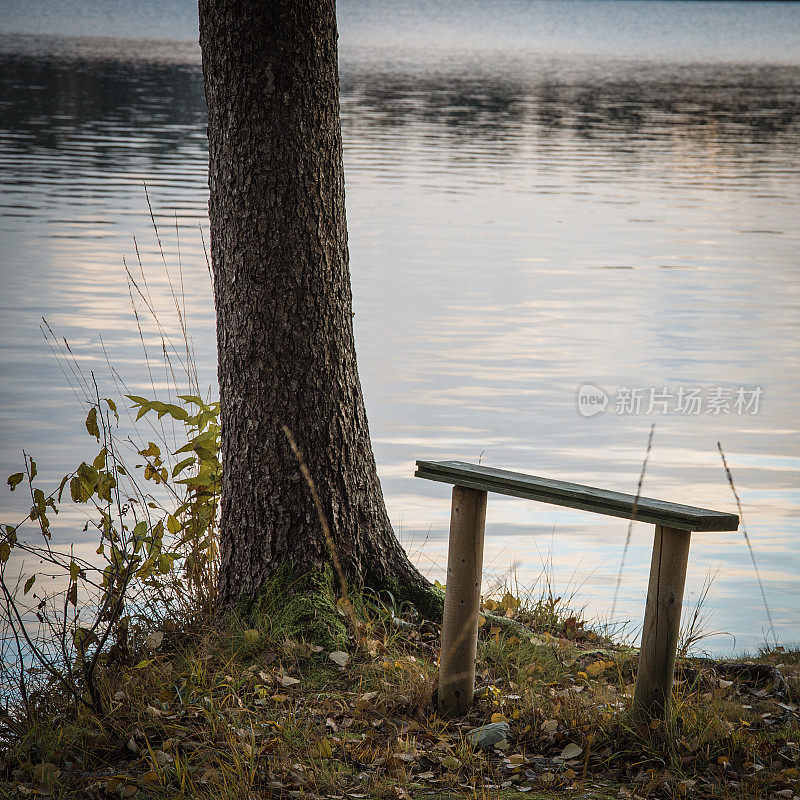 湖边的木凳