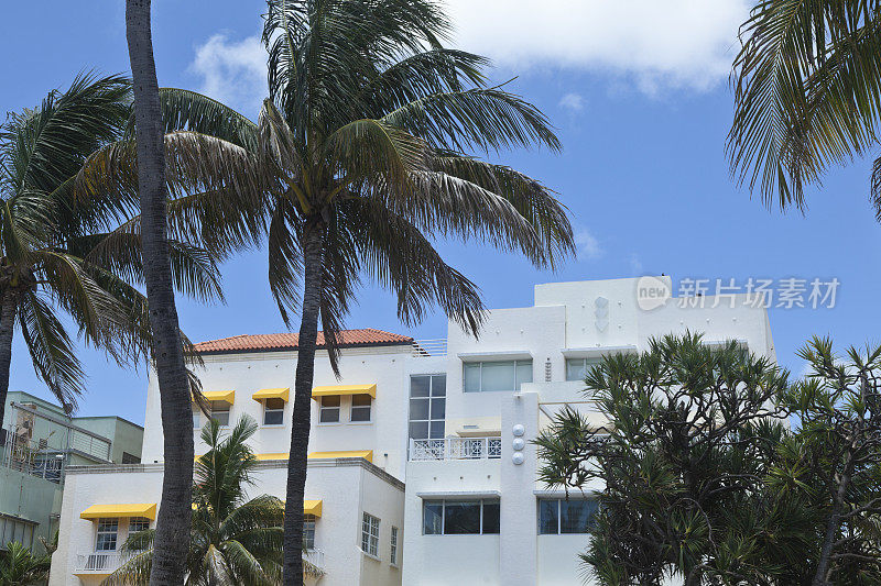 迈阿密南海滩装饰艺术建筑与棕榈树