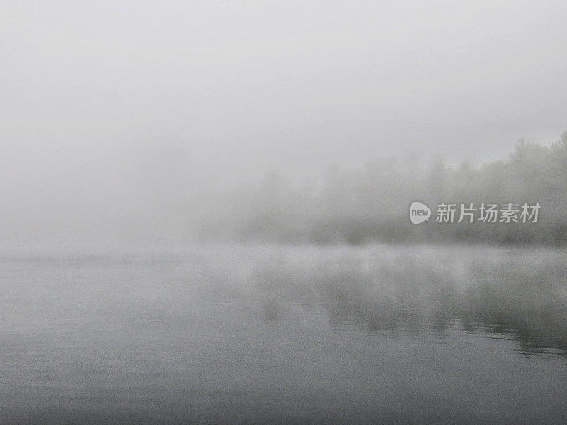 萨拉纳克湖，雾蒙蒙的早晨，树覆盖的岛屿海岸，纽约