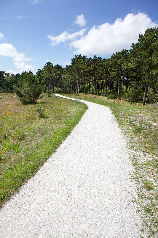 乡村景观与蜿蜒的农场道路穿过田野和森林