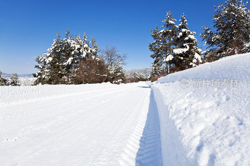 积雪的街道上