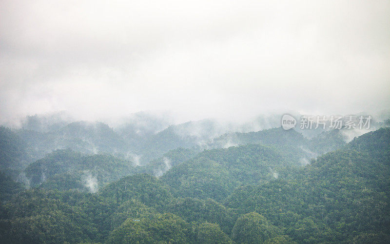 丛林山。