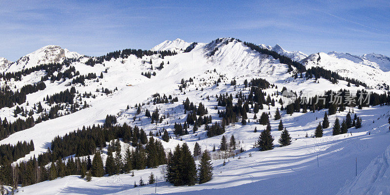 高山滑雪运行