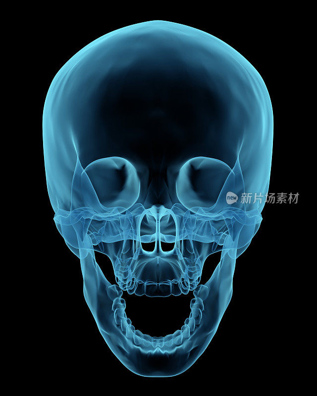 3D渲染就像x射线的人类头骨