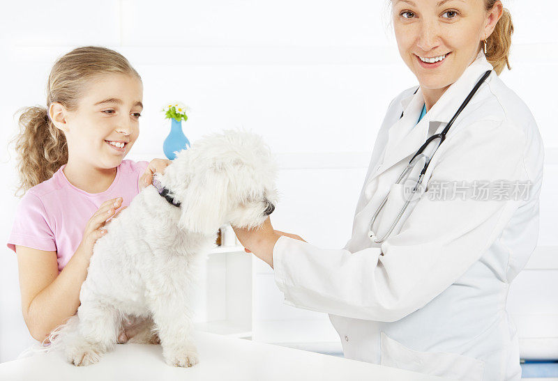 兽医办公室的小女孩和她的宠物马尔济斯犬