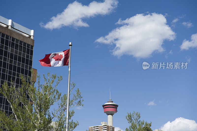 从中央纪念公园看加拿大国旗和卡尔加里塔