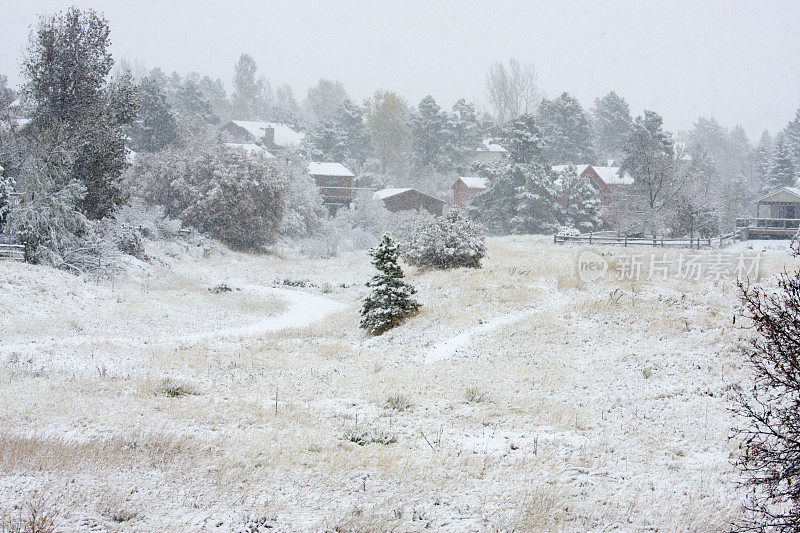 白雪皑皑的郊区