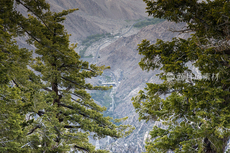 科切拉山谷和棕榈泉