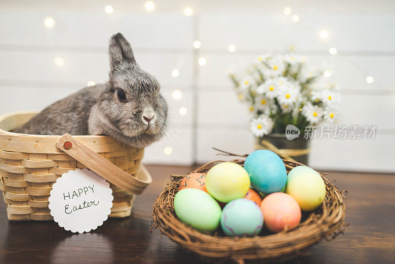 兔子在装满彩色复活节彩蛋的篮子旁边