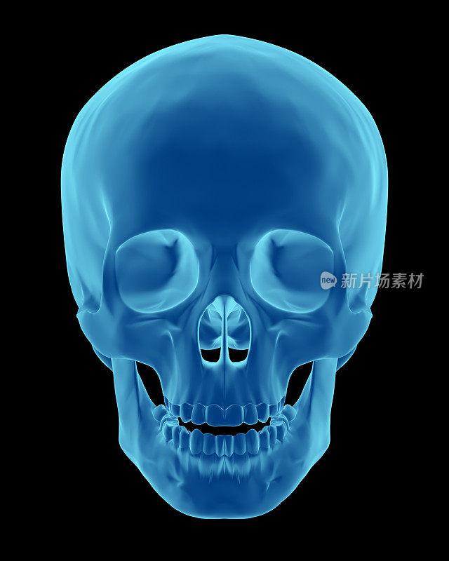 3D渲染就像x射线的人类头骨