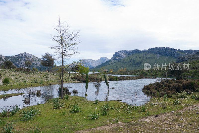 制粒机水库,马略卡岛