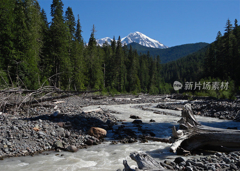 雷尼尔山的塔霍马溪