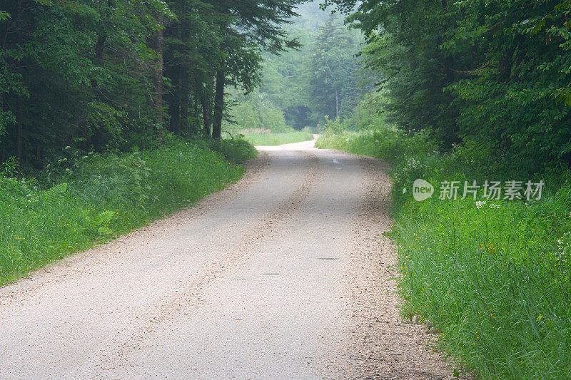 穿过夏日森林的乡间小路