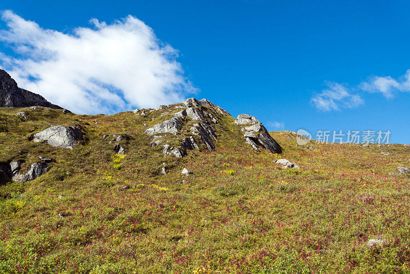 阿拉斯加崎岖的风景