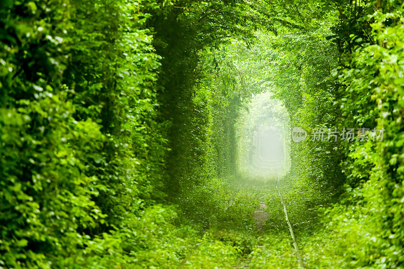 绿色的隧道,乌克兰