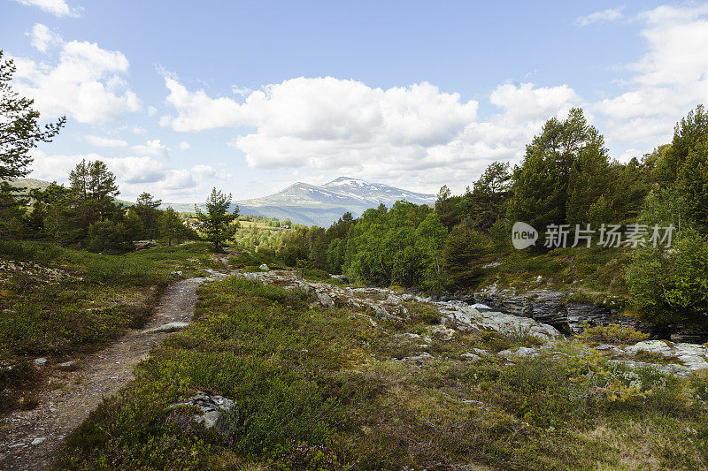 多山景观与瀑布在挪威的山区。