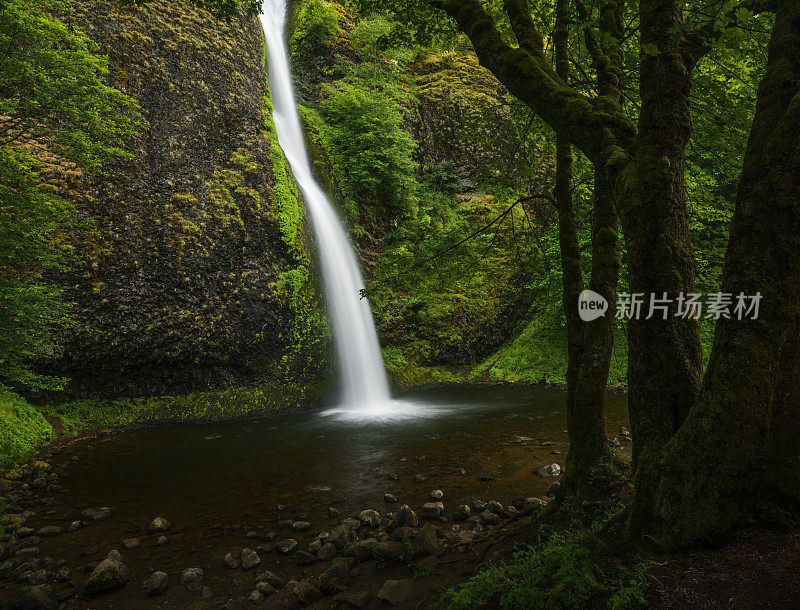 马尾瀑布哥伦比亚河峡谷