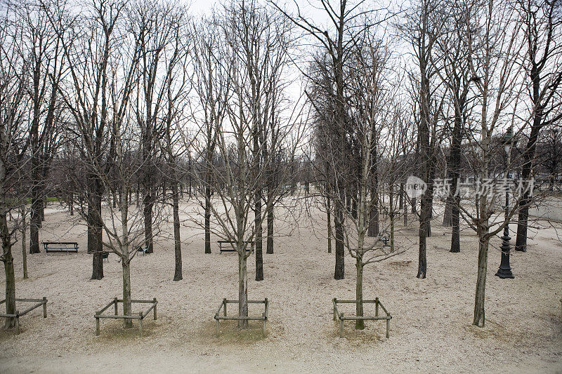 冬天的杜伊勒里宫花园，巴黎