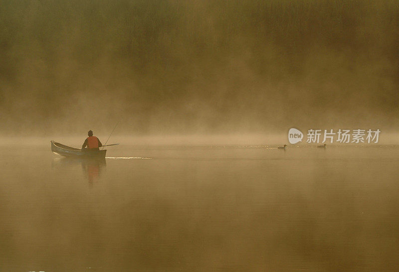 和潜水鸟在薄雾湖上划独木舟