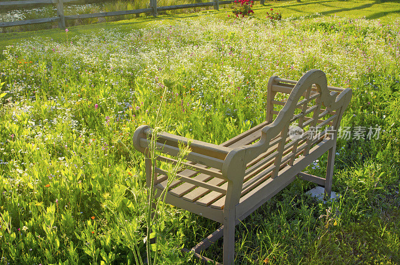 长满青草和野花的草地上的一条长凳