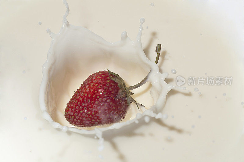 草莓在牛奶中飞溅