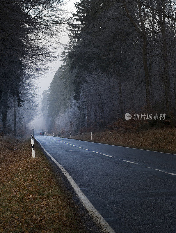 秋天的森林道路