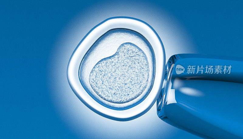 胚胎干细胞的提取