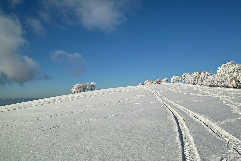 黑森林冬天的雪景