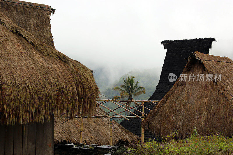 印度尼西亚:弗洛雷斯的兰加斯山部落村