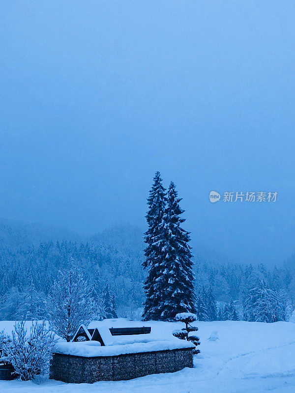 在欧洲阿尔卑斯山脉，冰雪覆盖的冬季景观和森林