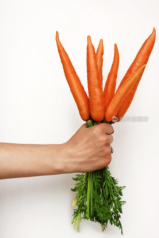 一个女人的手拿着一束在白色背景上的新鲜的橙色胡萝卜