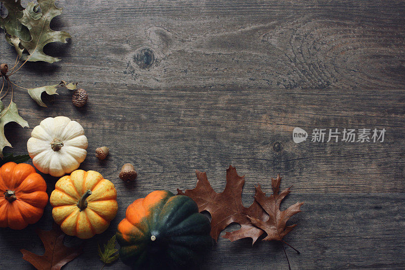 感恩节季节的静物画上点缀着五颜六色的小南瓜、小南瓜和落叶。