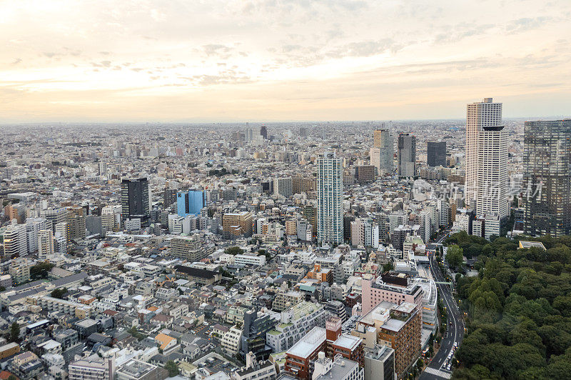 东京城市城市