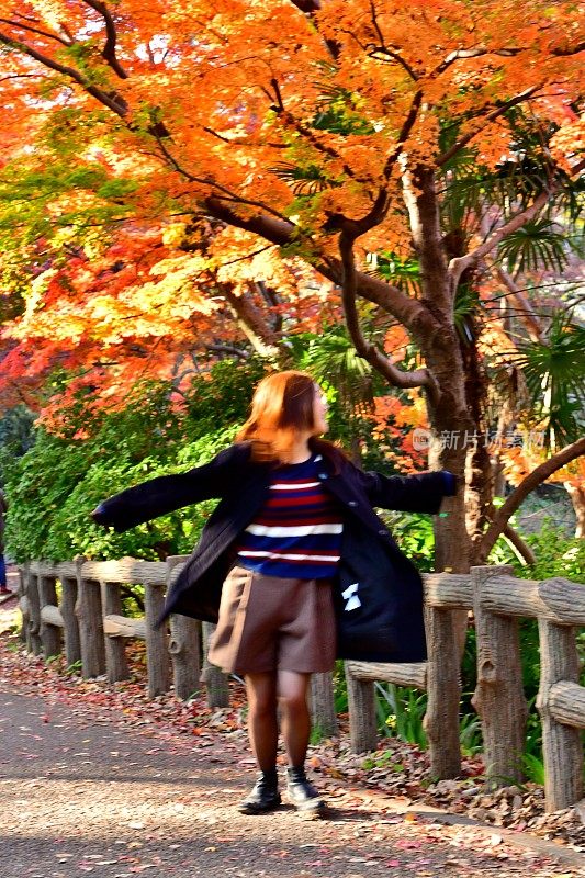 年轻的日本女人在彩色的枫树下旋转