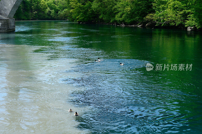 这两条河在汇合处汇合