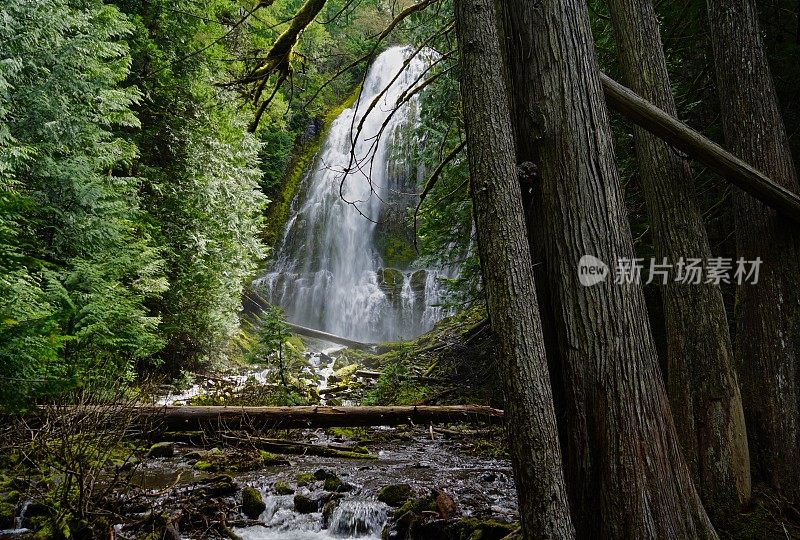 代理会隐形