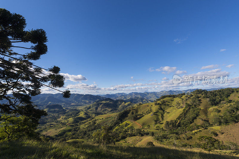 米纳斯吉拉斯南部的风景有山和树