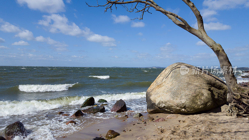 在波罗的海的海滩上不规则的石块-巨石，石头，鹅卵石