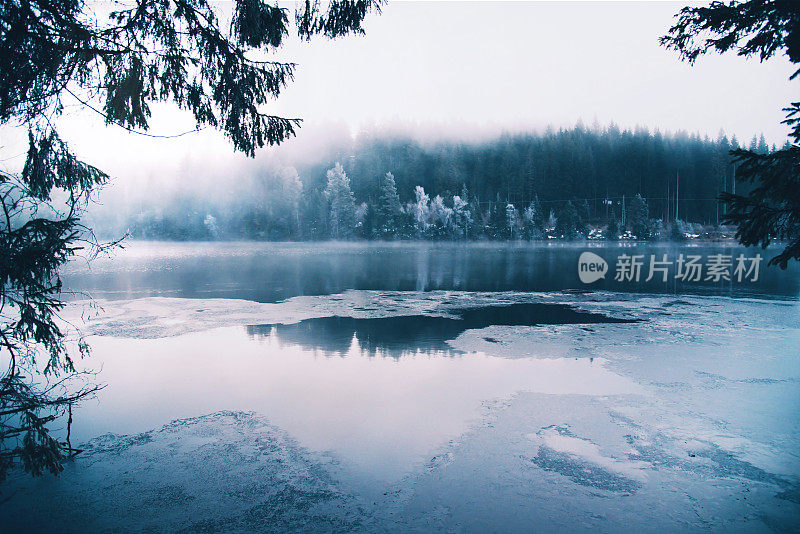 雾蒙蒙的森林里结冰的湖。