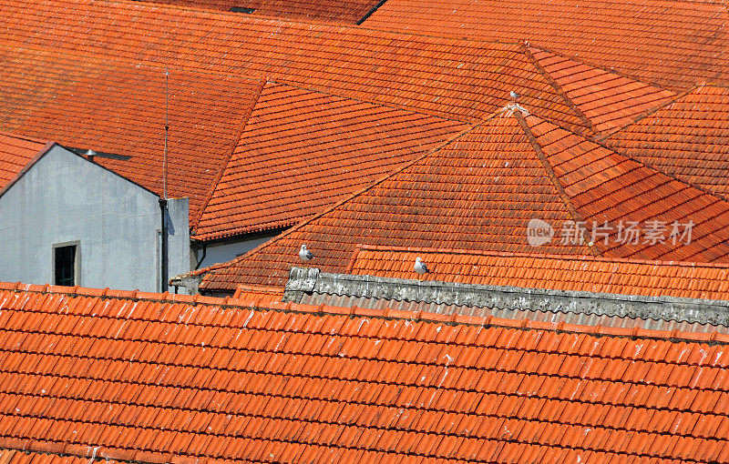 葡萄牙新盖亚港葡萄酒仓库的屋顶