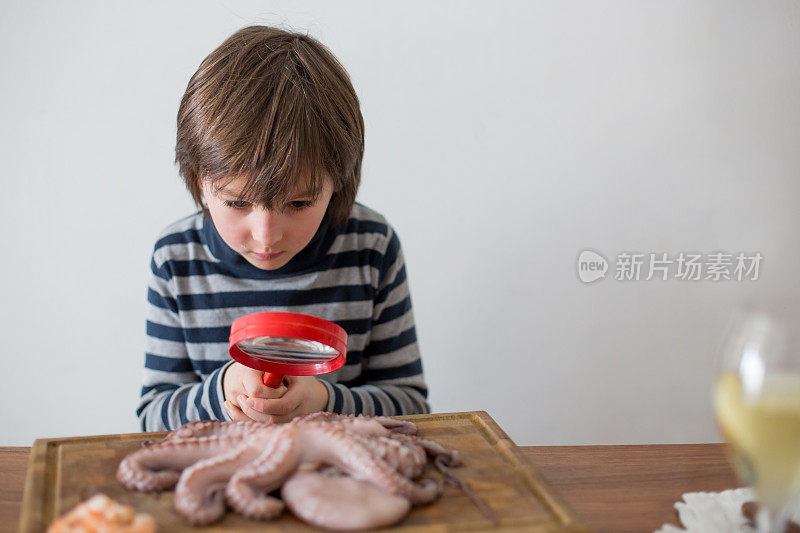可爱的学龄前儿童，小男孩，正在用放大镜分析生章鱼