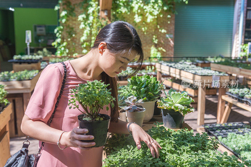 年轻女子在花园里为她的房子挑选新植物