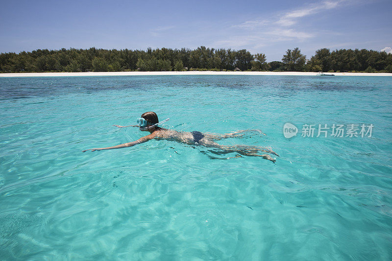 年轻的成年妇女在热带度假浮潜