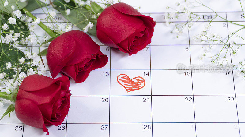 情人节。红色玫瑰在日历页2月14日与副本空间