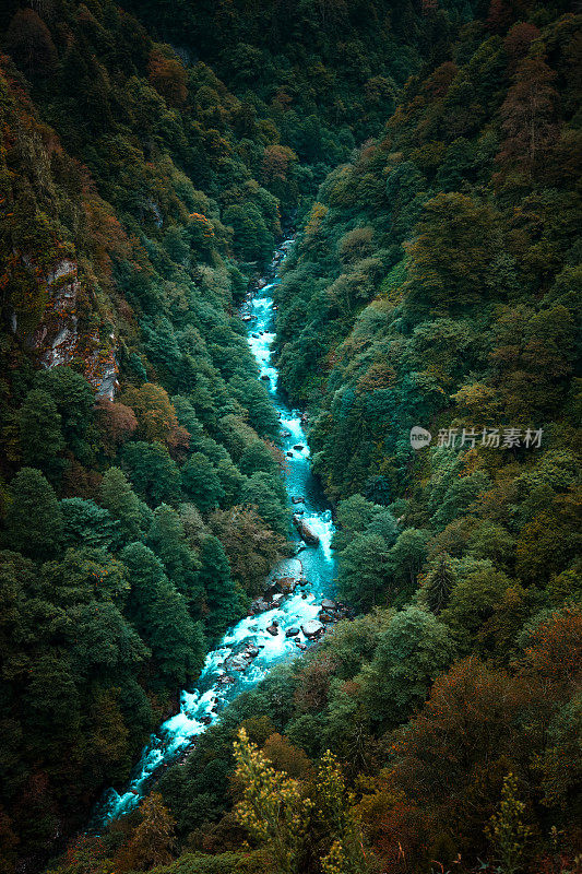 土耳其Rize附近的森林景观