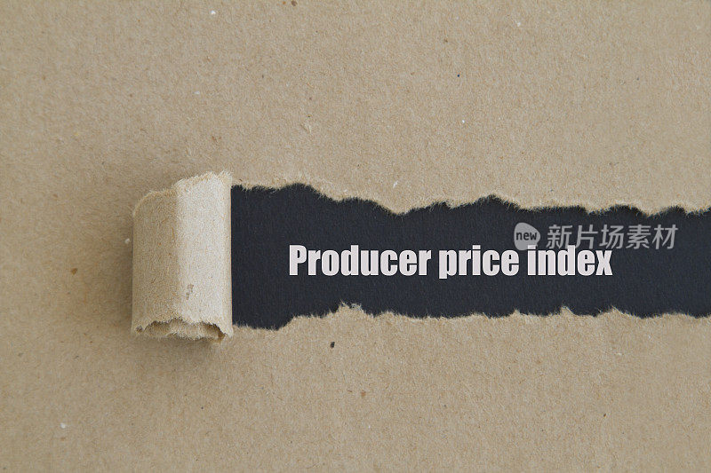 生产者价格指数